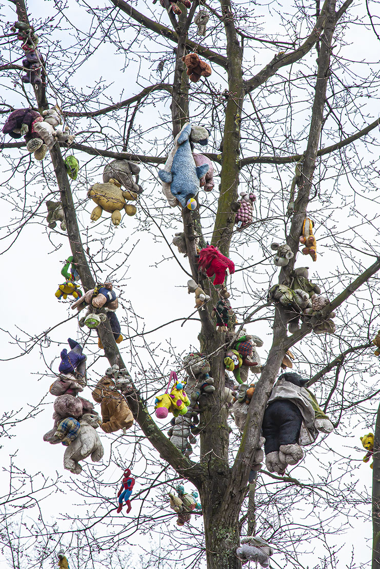 Amsterdam, Soft Toys hanging in Tree.