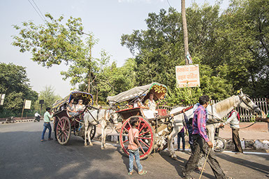Travelling through India, Agra. 