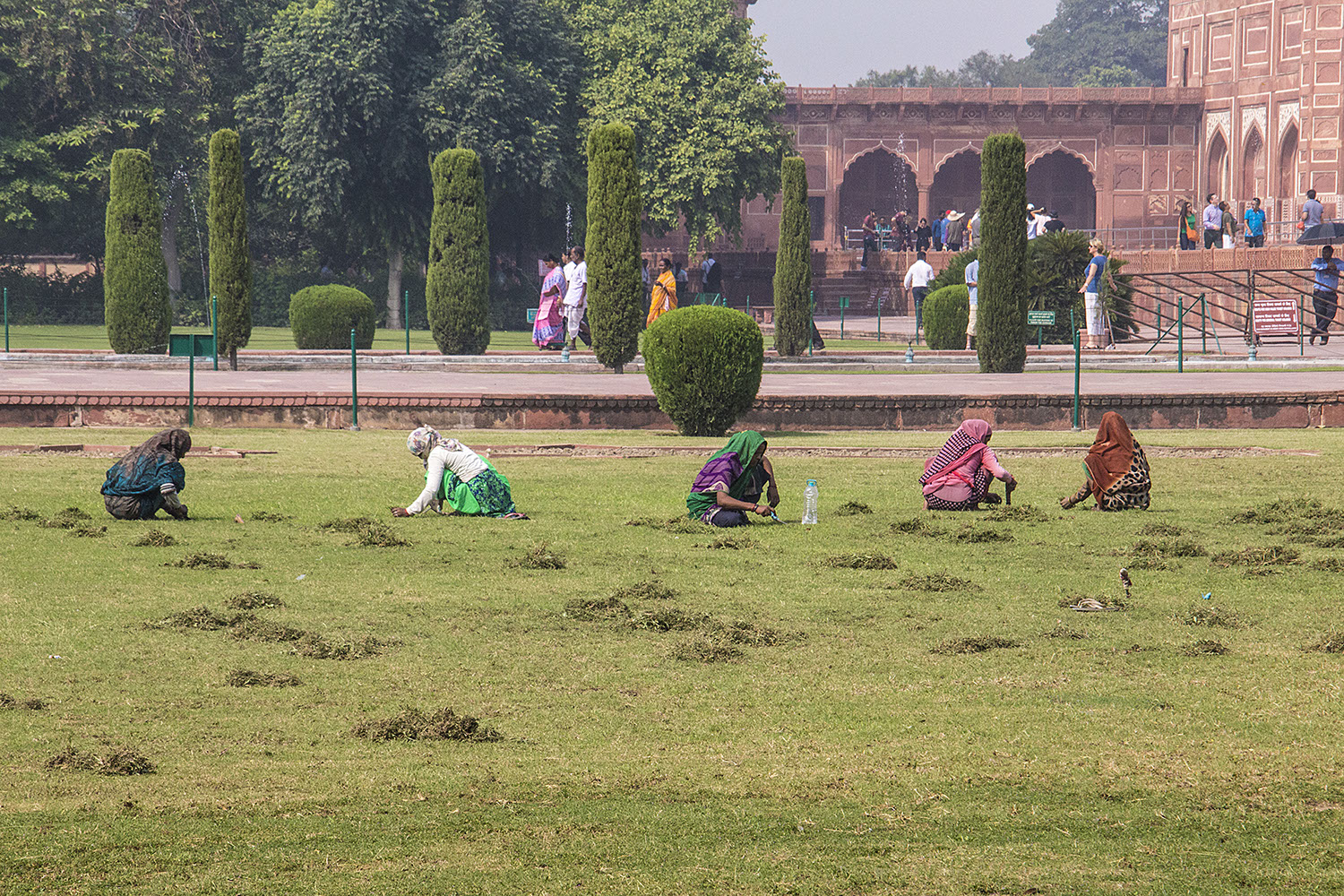Grass Cutting, with Scissors, near Taj Mahal.