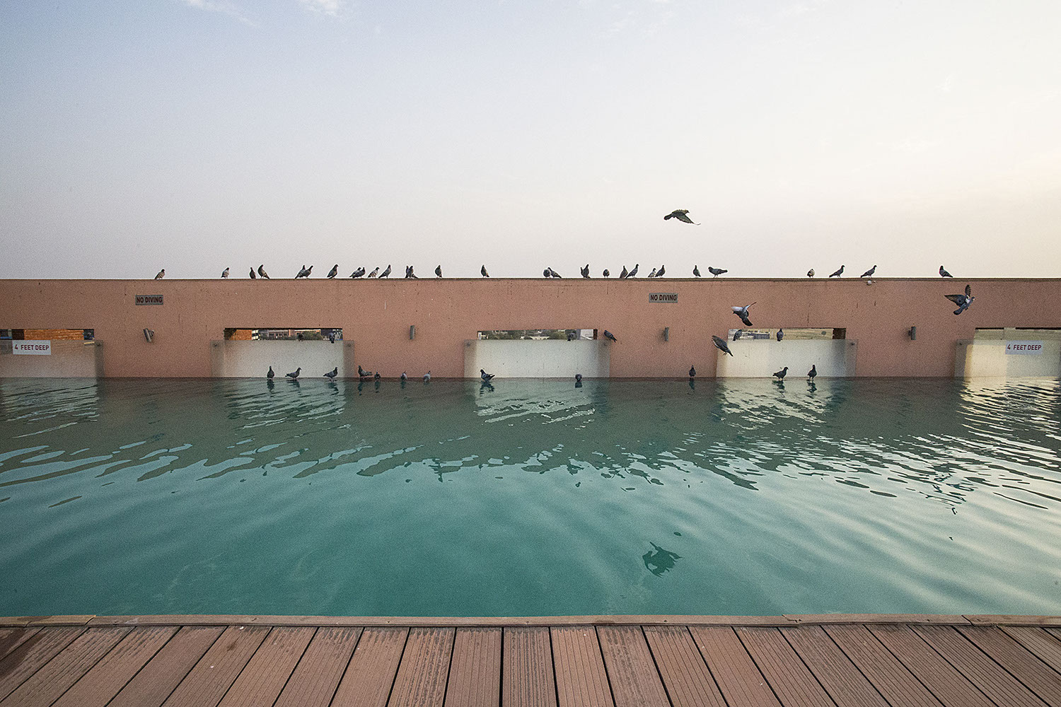 Rooftop Swimming Pool.