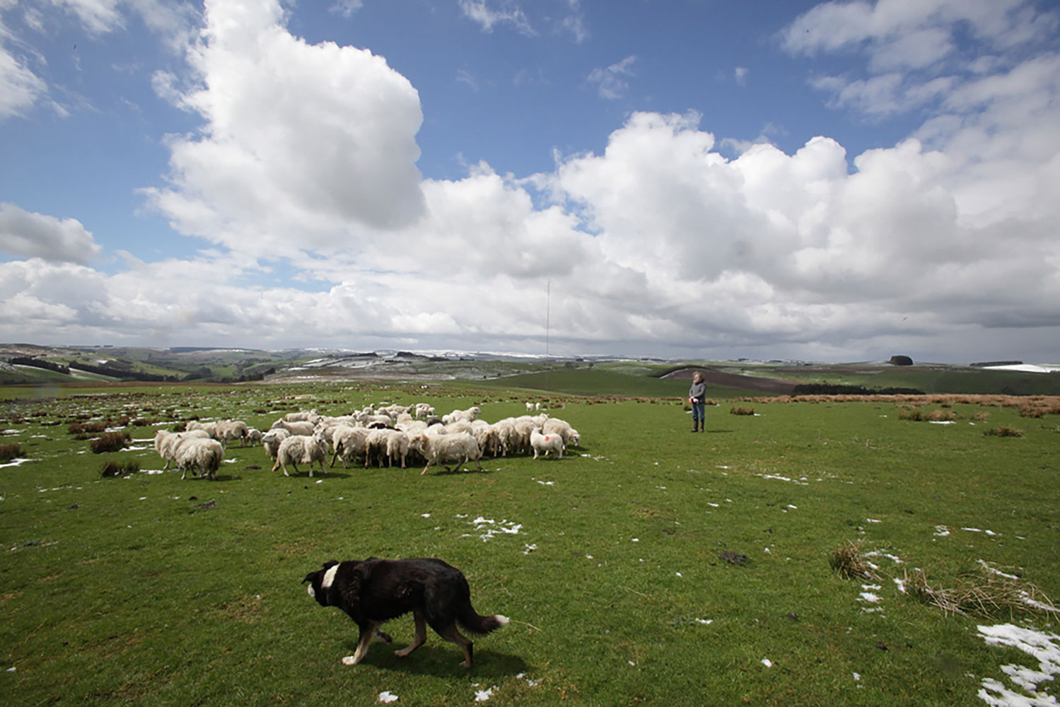 Shepherd on Welsh Hill Top. PR Photoo taken for Energy Company.