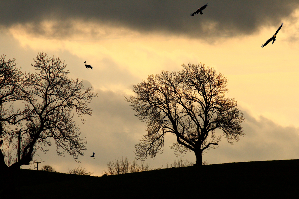 Award- winning Aberystwyth Sunset photograph