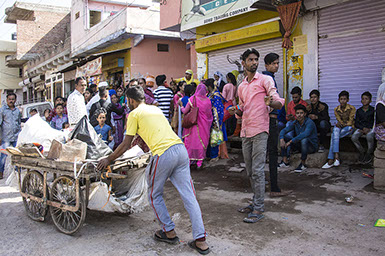 Travelling through India, Ranthambore.